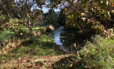 Autumn in Cala Sant Vicente: Tranquility, Nature & Culture