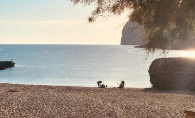 Primavera en la Cala San Vicente y alrededores