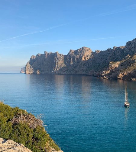 CAVALL_BERNAT_IMG_4987